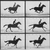 Eadweard Muybridge (fig. 2: Analytic Motion Study)