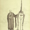 Richard Owen and a Moa Skeleton