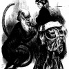 Figure 9: One of the many contemporary cartoons and caricatures casting Darwin as a monkey or an ape. Note the phallic and serpentine quality of Darwin’s tail.