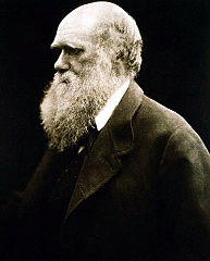 Cameron photo of Darwin