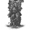 illustratio from worms by Darwin