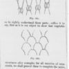 Figure 1. Christopher Dresser, nature’s diaper patterns, from “Botany as Adapted to the Arts and Art-Manufacture” (1857-1858).