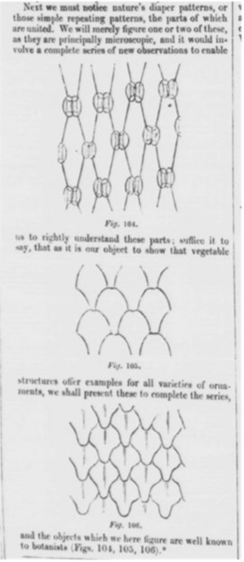 Figure 1. Christopher Dresser, nature’s diaper patterns, from “Botany as Adapted to the Arts and Art-Manufacture” (1857-1858). Public domain.